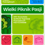Piknik Organizacji Pozarządowych